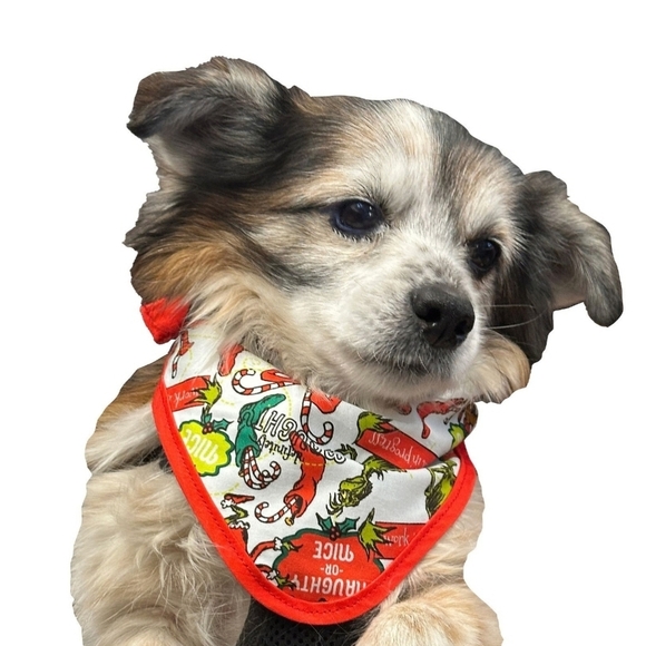Dr Seuss The Grinch Dog Pet Bandana S/m Nwt - Picture 1 of 7